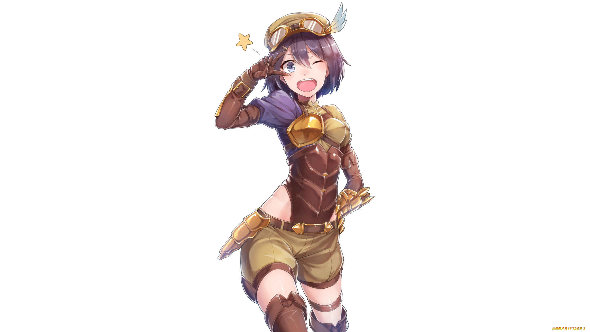 , shingeki no bahamut, 